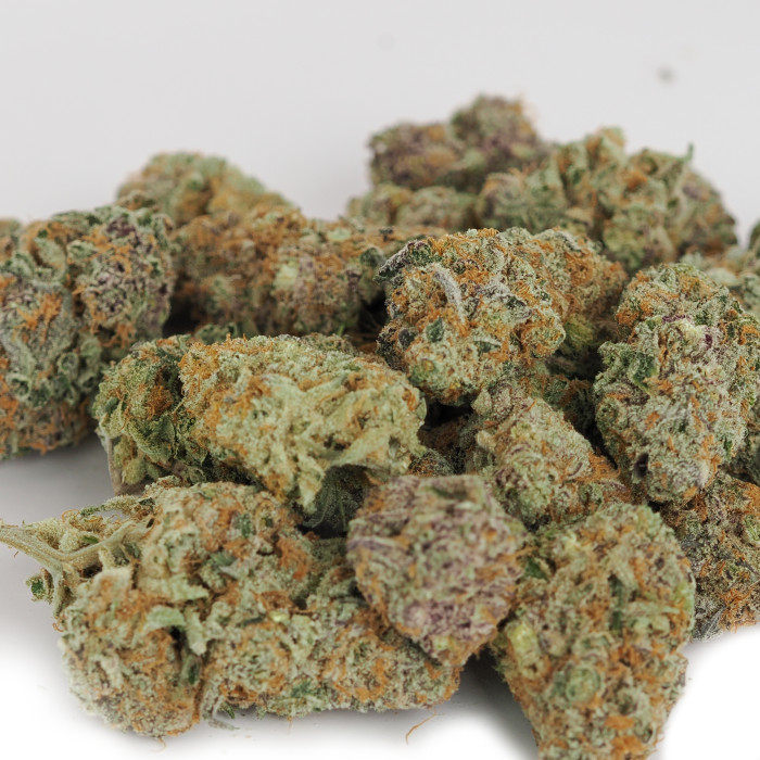 Rainbow Drive Purple 225g Bag (Indoor)