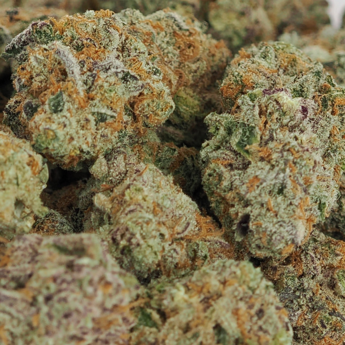 Rainbow Drive Purple 225g Bag (Indoor)