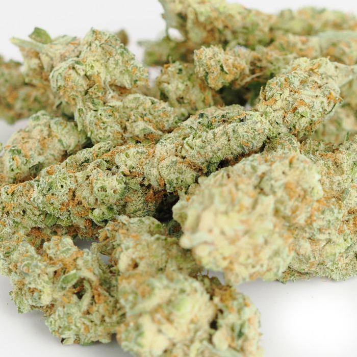 Animal Cookies 225g Bag (Indoor)