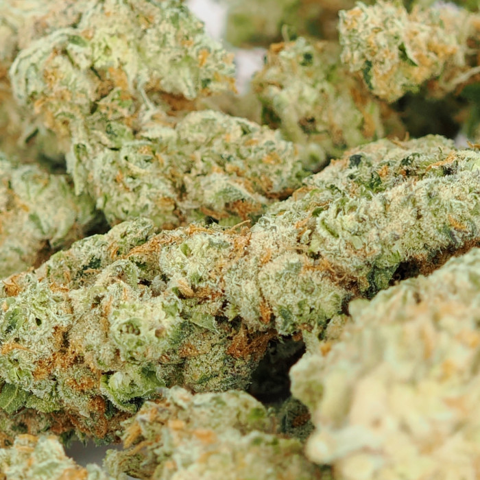 Animal Cookies 225g Bag (Indoor)