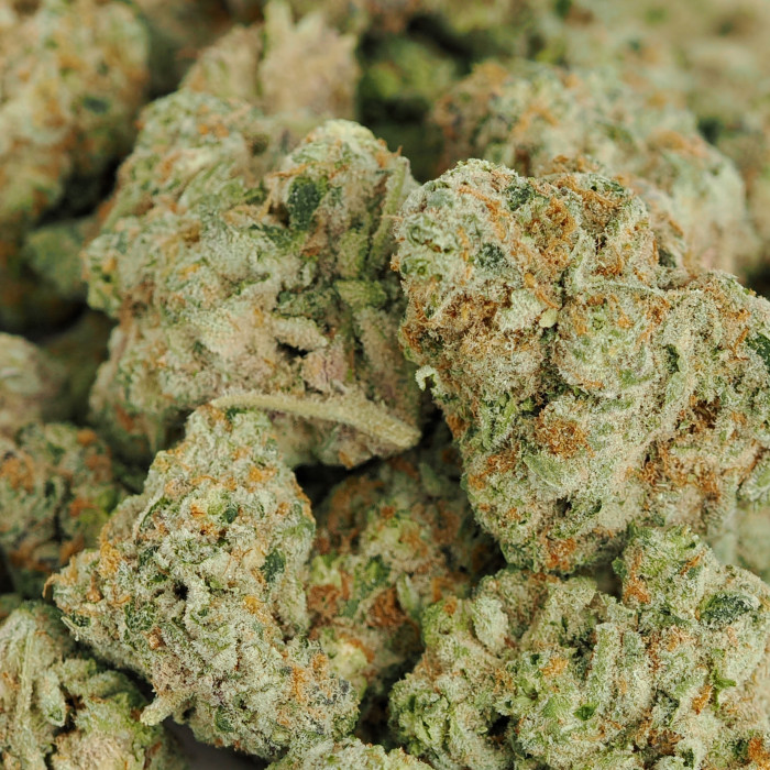Do-Si-Dos 225g Bag (Indoor)