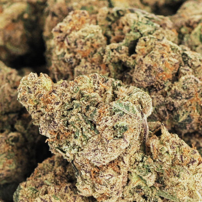 Pink Gelato 225g bag (Indoor)