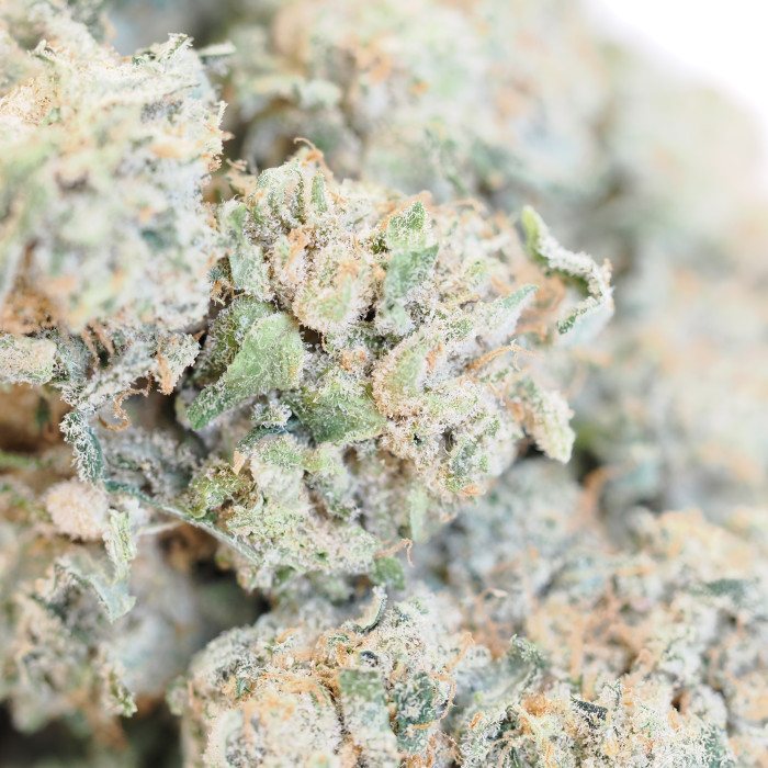 Kush Mints 225g Bag (Indoor)