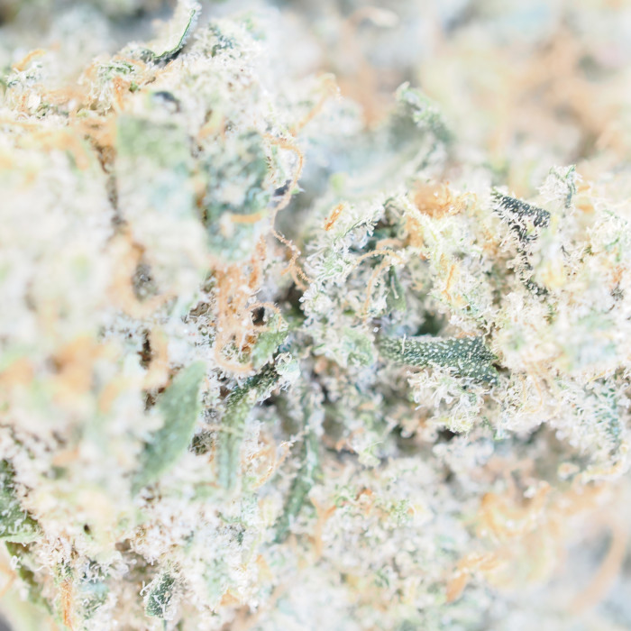 Kush Mints 225g Bag (Indoor)