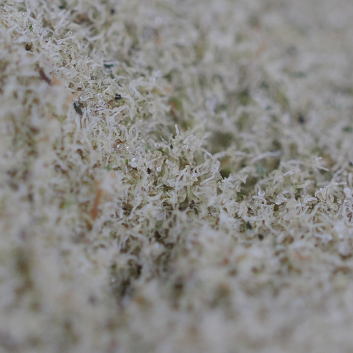 Kief, Dry Sift